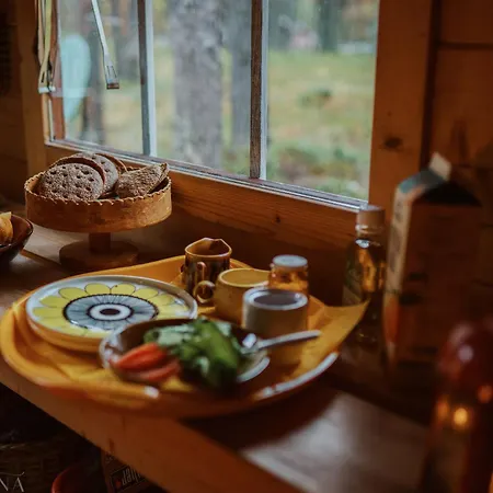 Cozy A-frame In The Woods 埃农泰基厄