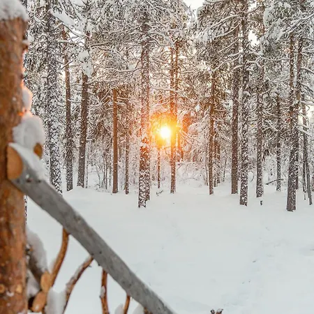 Cozy A-frame In The Woods 度假居 埃农泰基厄