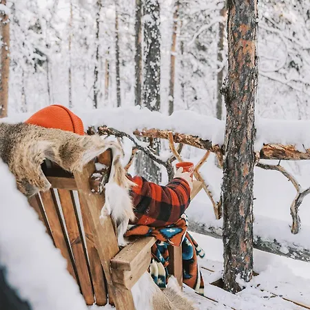 Holiday home Cozy A-frame In The Woods *