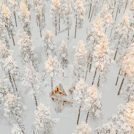 Cozy A-frame In The Woods *
