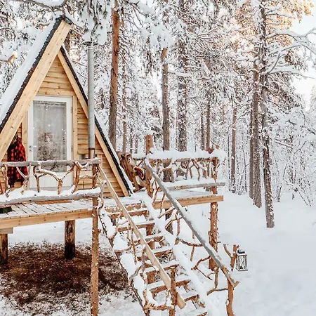 Cozy A-frame In The Woods *
